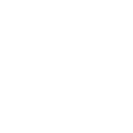 Cii Guide Icon